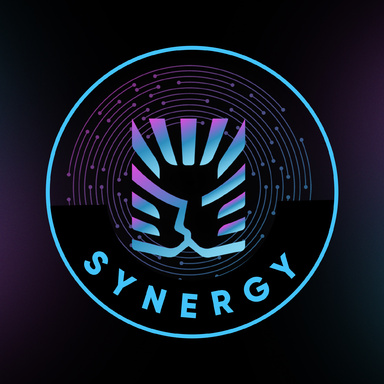 KYC_Synergy