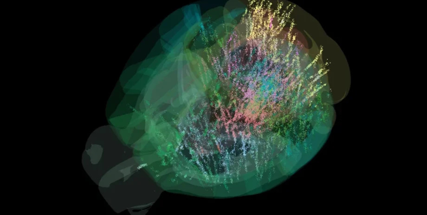 Найкращі наукові фото та відео вересня від Nature: від галактик до нейронів