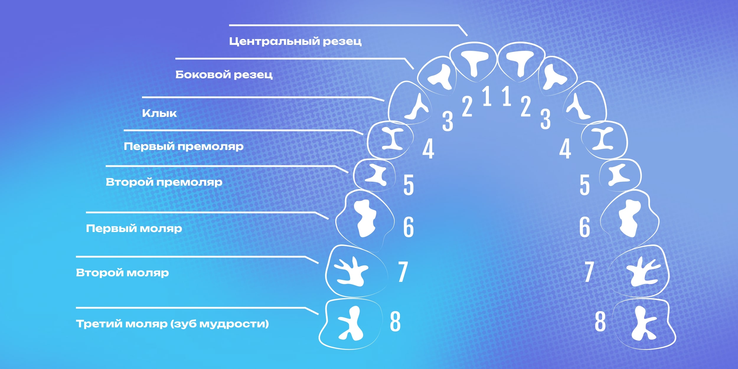 Монопучковая щётка пригодится для очистки труднодоступных участков