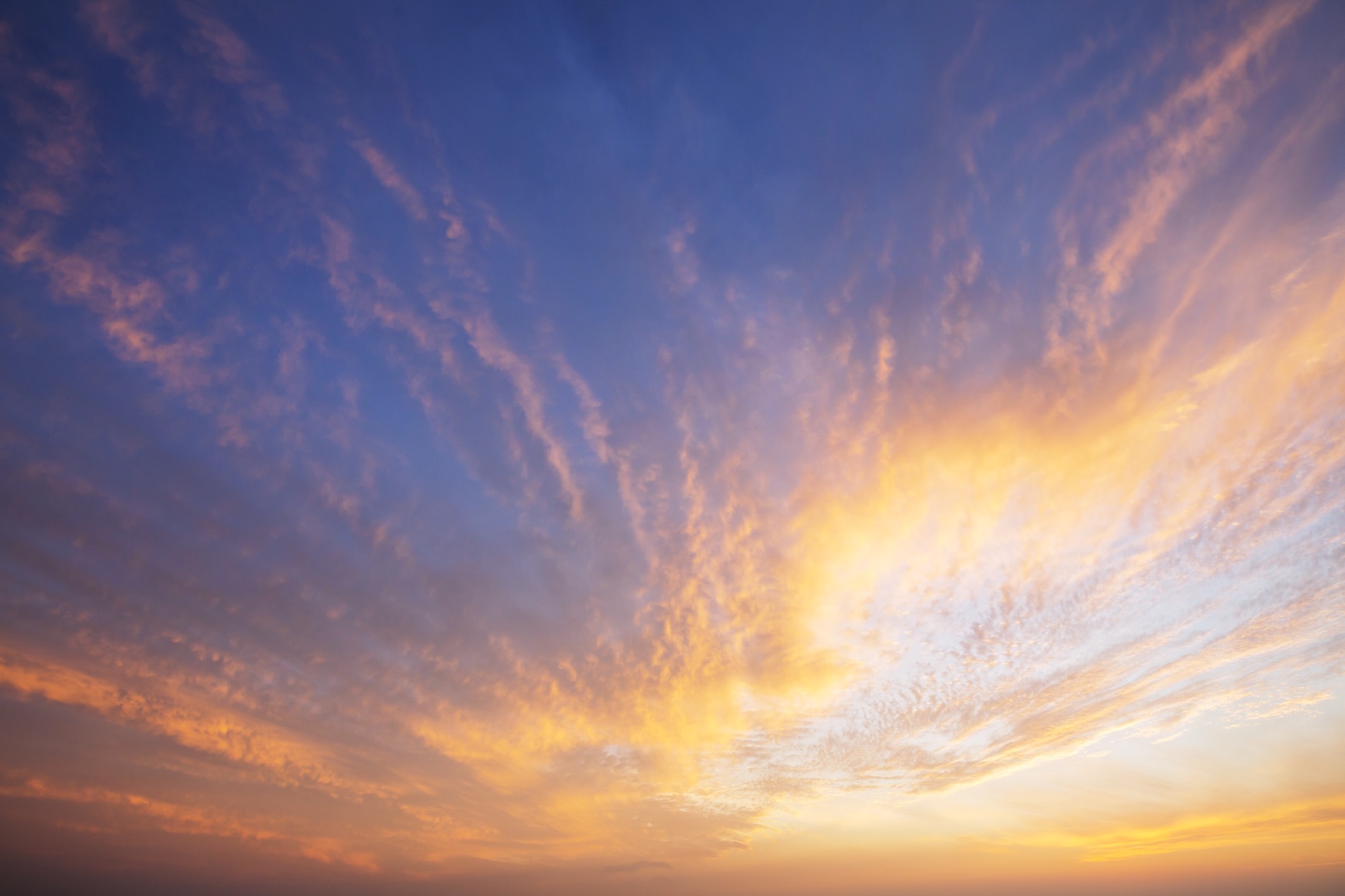 shutterstock_2644456745.jpg