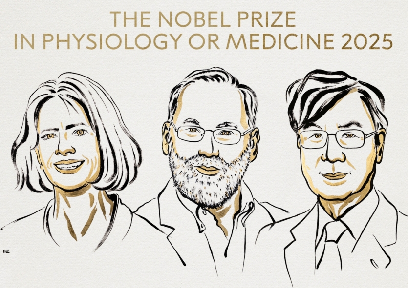 Нобелівську премію з медицини отримали вчені з США, Японії та Швеції за прорив у лікуванні раку та аутоімунних хвороб